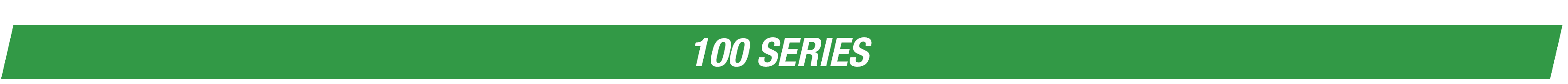 100 SERIES